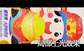 G3 数字部门上光系统 Technical Parameters